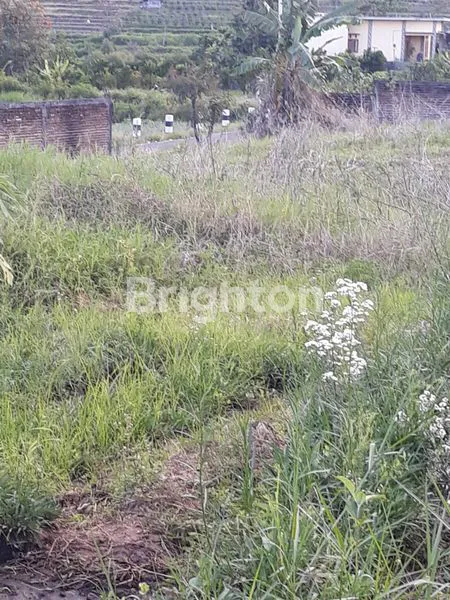 image TANAH STRATEGIS DI LOKASI BELAKANG MALL BATU . (4)