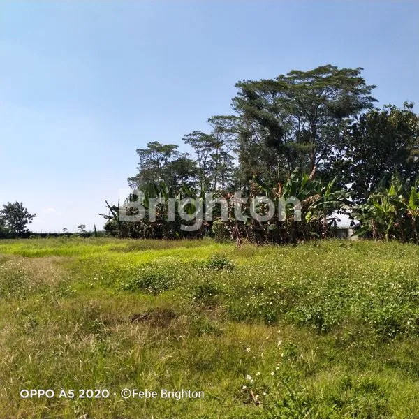 image GUDANG MURAH DI MOJOKERTO (6)