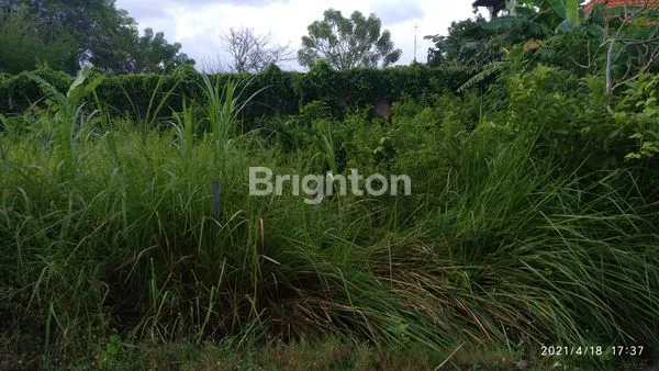 image LAHAN KUTA RAYA (8)