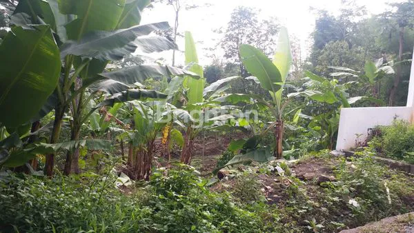 image KAVLING LUAS COCOK  UNTUK USAHA PERUMAHAN CLUSTER (8)