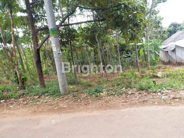 image KAVLING LUAS COCOK  UNTUK USAHA PERUMAHAN CLUSTER (6)