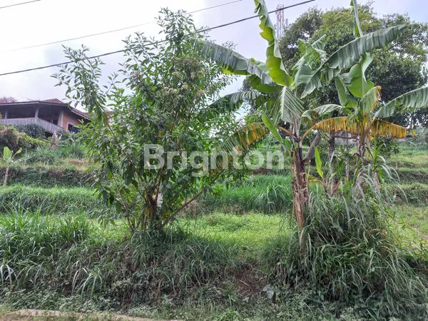 image TANAH KAVLING CIMENYAN UNTUK CAFE DAN GUEST HOUSE (2)