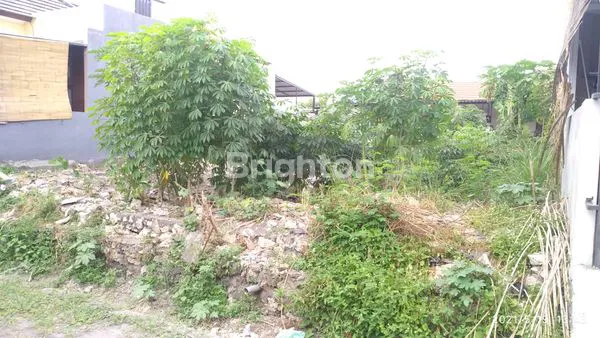 image LAHAN MEKAR PEMOGAN (3)