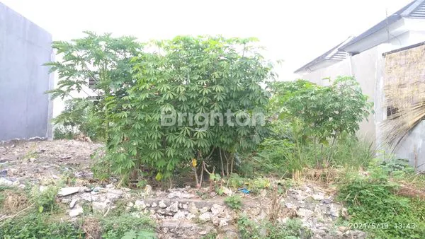 image LAHAN MEKAR PEMOGAN (5)