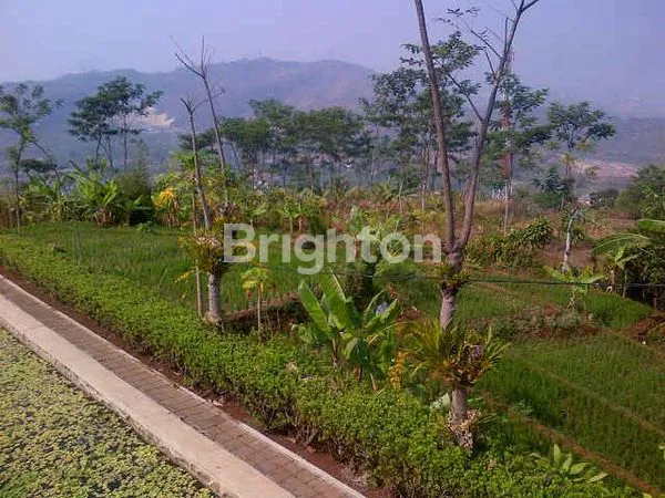 image TANAH KOMERSIAL DAERAH PADALARANG (1)