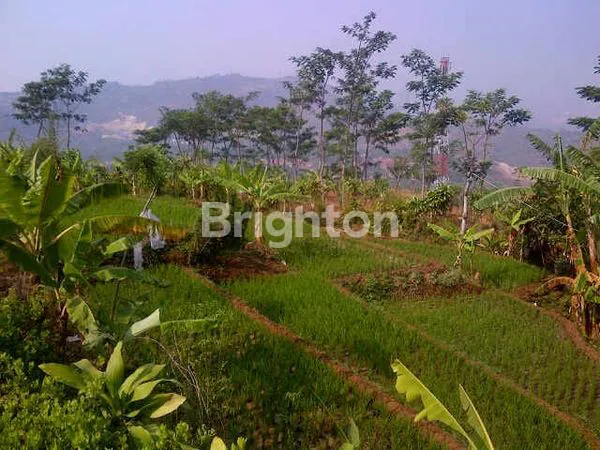 image TANAH KOMERSIAL DAERAH PADALARANG (2)