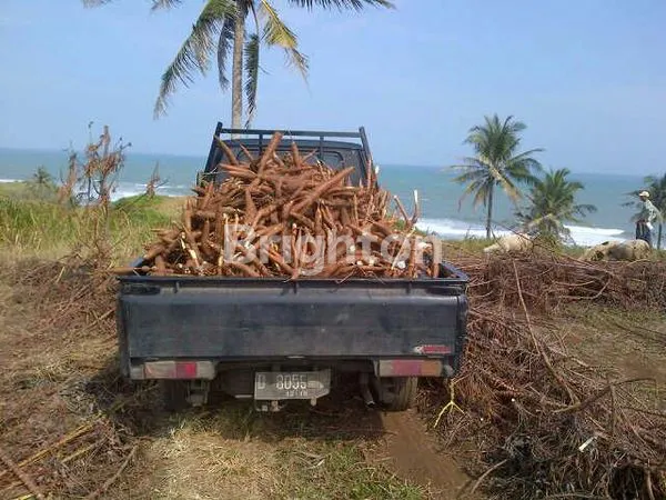 image TANAH PINGGIR PANTAI (1)