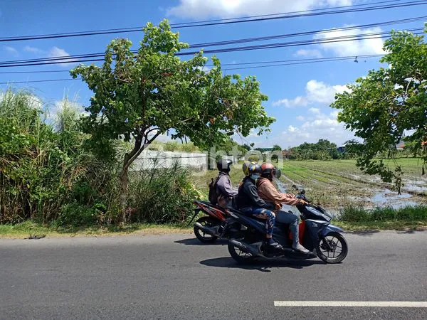 image TANAH 0 JLN RAYA SARIROGO - LUWUNG SIDOARJO (2)