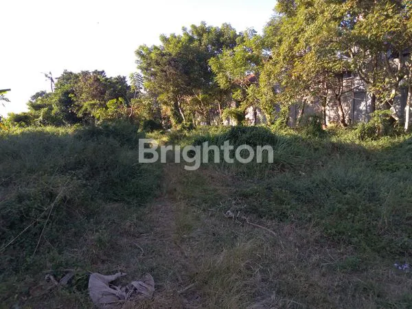 image TANAH DI GATSU TIMUR SEKARTUNJUNG XII (7)