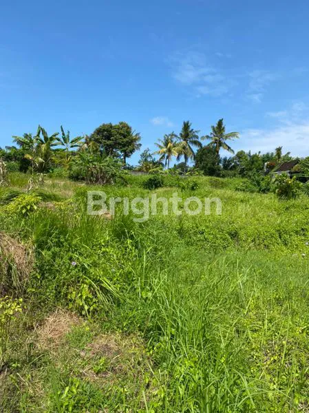 image TANAH COCOK UNTUK PEMUKIMAN VILLA DAN RESORT (2)