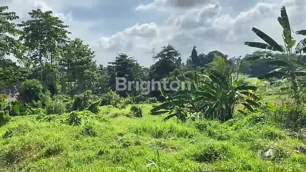 image TANAH COCOK UNTUK PEMUKIMAN VILLA DAN RESORT (8)