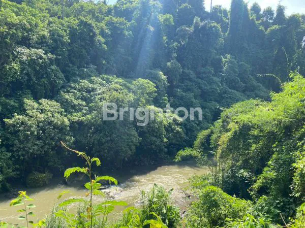 image TANAH COCOK UNTUK PEMUKIMAN VILLA DAN RESORT (4)