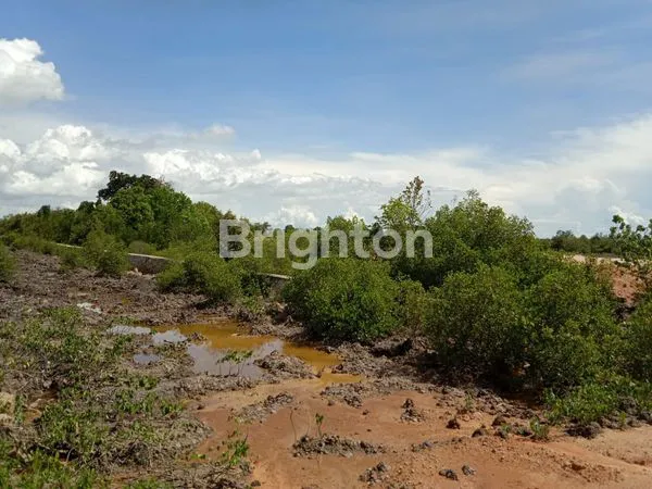 image LAHAN PARIT RAMPAK SUNGAI RAYA (2)