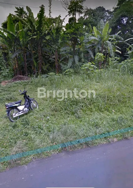 image TANAH SUBUR COCOK UTK KEBUN/TERNAK (1)