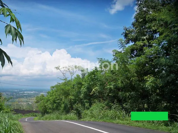 image LOKASI NOL JALAN RAYA TANAH KEBUN PASURUAN !! (1)