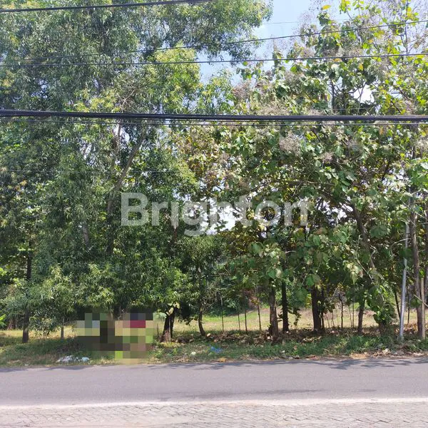 image TANAH KOSONG SIAP BANGUN LOKASI STRATEGIS PINGGIR JALAN BESAR TEMBALANG SEMARANG (1)