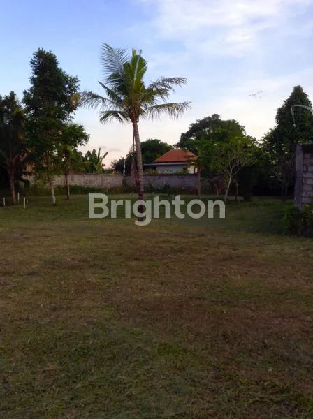TANAH DISEWAKAN SIAP DI BANGUN, SUDAH ADA IJIN IMB UNTUK HOTEL MELATI, RESTO DAN SPA