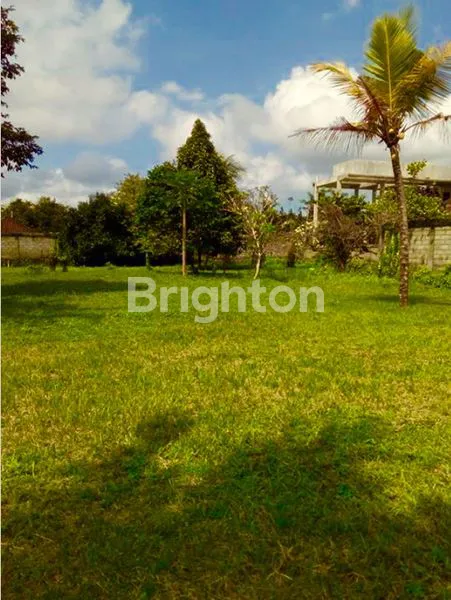 image TANAH DISEWAKAN SIAP DI BANGUN, SUDAH ADA IJIN IMB UNTUK HOTEL MELATI, RESTO DAN SPA (2)