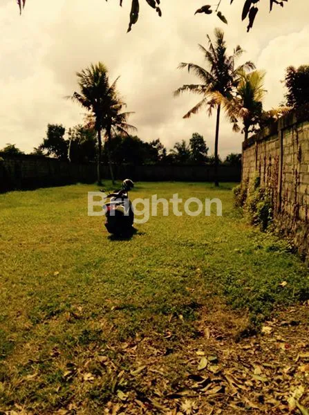 image TANAH DISEWAKAN SIAP DI BANGUN, SUDAH ADA IJIN IMB UNTUK HOTEL MELATI, RESTO DAN SPA (4)