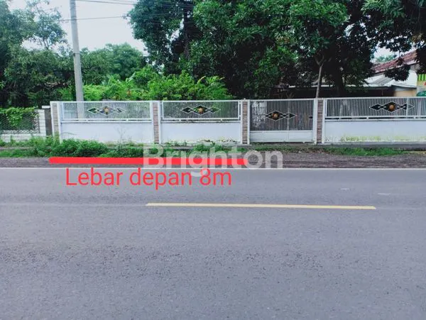 image TANAH LUAS MURAH NOL JALAN RAYA PANARUKAN SITUBONDO (1)