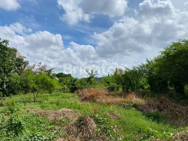 LAHAN TANAH SUPER LUAS JALAN RAYA KALIJUDAN DEKAT UNIVERSITAS WIDYA MANDALA