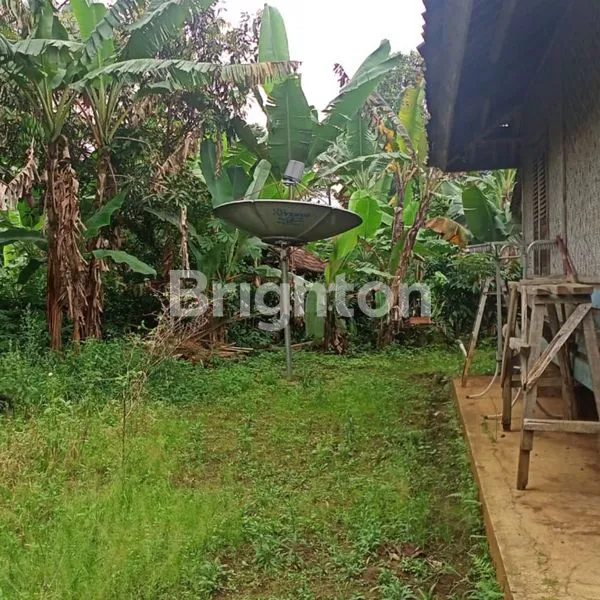 image TEMPAT NGADEM DI TENGAH KEBUN TEH, DESA CILINGGA PURWAKARTA (4)