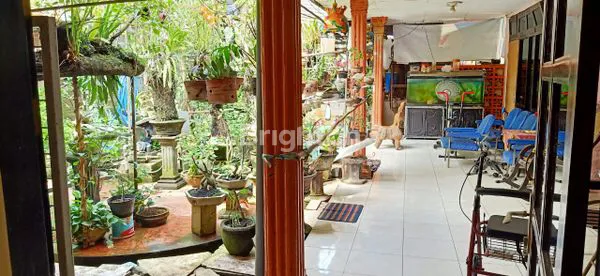 image RUKO, TOKO DAN RUMAH DIPUSAT KOTA TULUNGAGUNG. NOL JALAN RAYA. STRATEGIS. COCOK BUAT USAHA DAN TEMPAT TINGGAL. (5)