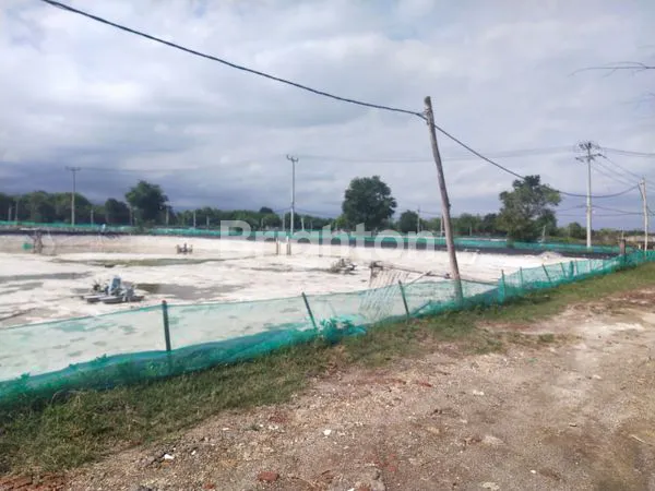 image TAMBAK DI JEMBRANA (4)