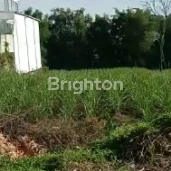 image TANAH KAVING COCOK UNTUK CLUSTER / TOWN HOUSE (1)