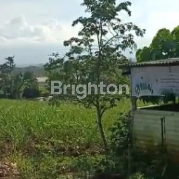 image TANAH KAVING COCOK UNTUK CLUSTER / TOWN HOUSE (2)