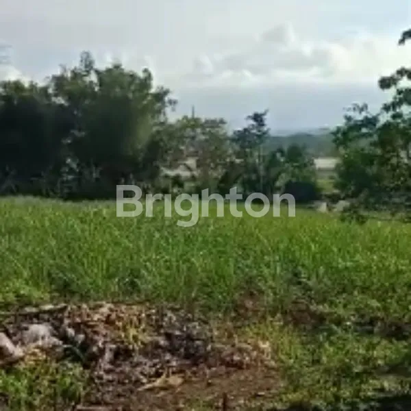 image TANAH KAVING COCOK UNTUK CLUSTER / TOWN HOUSE (3)