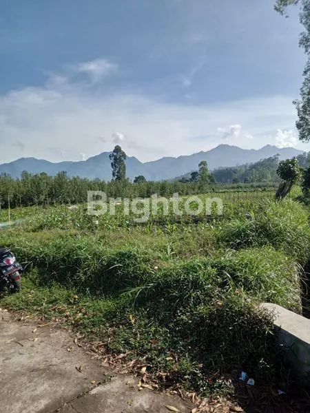 image SANGAT ASRI DAN BISA BUAT VILLA ATAU RUMAH PRIBADI IDAMAN (3)