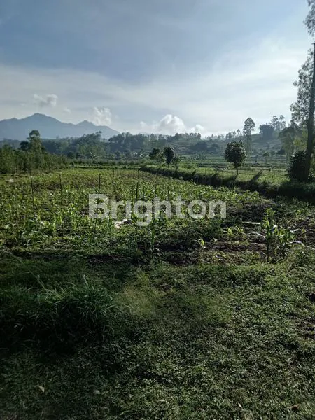 image SANGAT ASRI DAN BISA BUAT VILLA ATAU RUMAH PRIBADI IDAMAN (2)