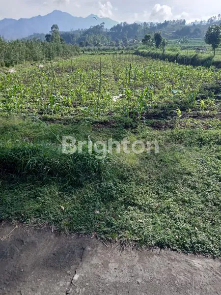 image LOKASI SANGAT NYAMAN DAN HARGA SANGAT MURAH (1)