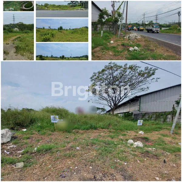 image TANAH DI RAYA KARANG ANDONG, DRIYOREJO, GRESIK (1)