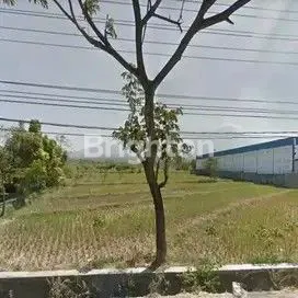 image TANAH NOL JALAN RAYA PANDAAN (ARAH SURABAYA-MALANG) DEKAT TAMAN SAFARI PRIGEN (1)