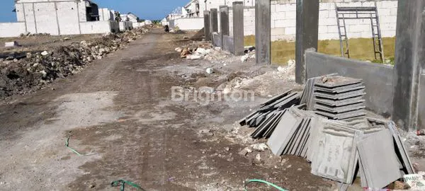 image ALANA CEMANDI (2)