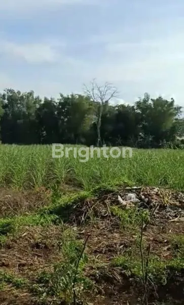 image KAVLING YONKAV SINGOSARI MALANG  (2)