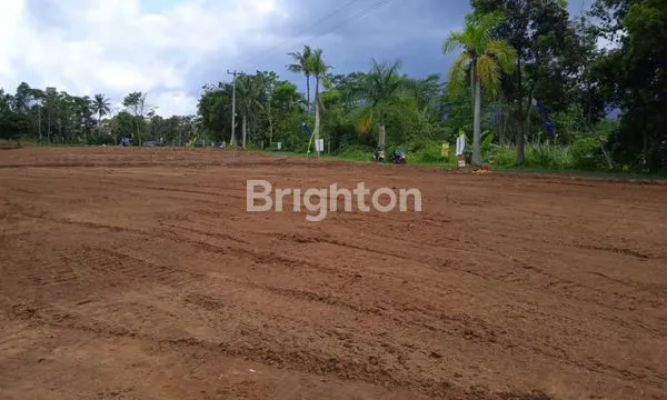 image KAVING MURAH DI CIATER (1)