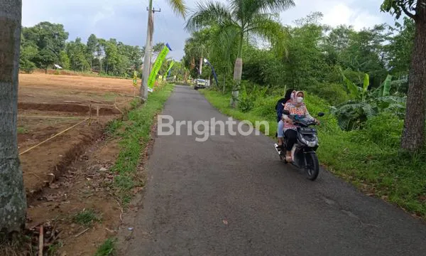 image KAVING MURAH DI CIATER (3)