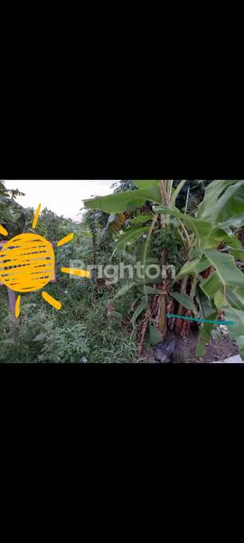 image TANAH NOL JALAN RAYA PUNGGING (1)