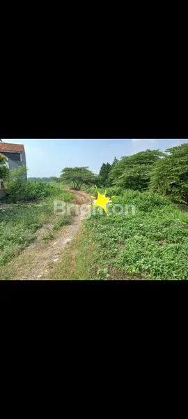 image TANAH NOL JALAN RAYA (1)