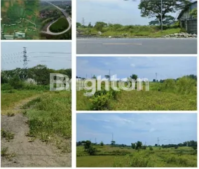 image TANAH DI DRIYOREJO GRESIK (1)