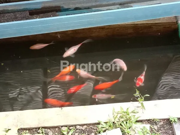 image DESAIN RUMAH UNIK & MEMILIKI BANYAK JENDELA UNTUK SIRKULASI CAHAYA & UDARA (4)