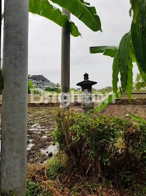 image TANAH DI YEH GANGGA TABANAN BALI (2)