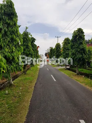 image TANAH DI YEH GANGGA TABANAN BALI (4)