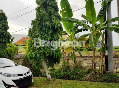 image TANAH DI YEH GANGGA TABANAN BALI (5)