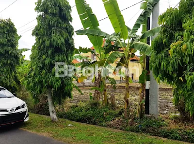 image TANAH DI YEH GANGGA TABANAN BALI (6)