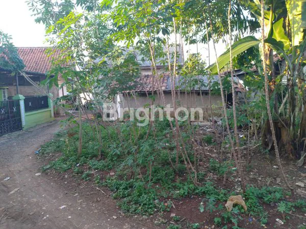 image TANAH DI GRIYA SERPONG ASRI CISAUK TANGERANG  DEKAT KE STASIUN CISAUK (2)