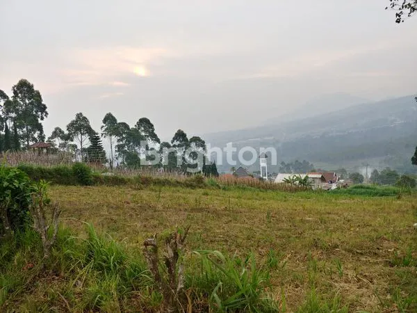 image TANAH STRATEGIS DI LOKASI GUNUNG PUTRI LEMBANG (4)